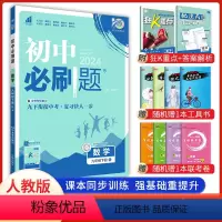 数学人教版 九年级下 [正版]2024新版 初中必刷题九年级下册数学人教版 中考必刷题9年级数学同步练习册试卷题库 初三