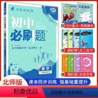 数学北师版 九年级下 [正版]2024版 初中必刷题九年级下册数学北师大版 中考必刷题9年级数学同步练习册试卷题库 初三