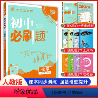 化学 九年级上 [正版]2024新版初中必刷题九年级上册化学人教版 初三九上化学中考必刷题9年级练习册题库试卷中考化学同