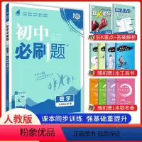 数学 人教版 九年级上 [正版]2024新版初中必刷题九年级上册数学人教版 初三九上数学中考必刷题9年级练习册题库试卷中