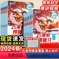 21天寒假预复习 小学一年级 [正版]2024新版小学21天寒假预复习语数英套装4册一年级二年级三四五六年级上篇下篇测试