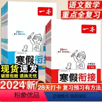 [语文+数学]2本套寒假衔接 小学一年级 [正版]2024版一本寒假衔接语文数学一年级三 四 五六 二年级人教版阅读理解