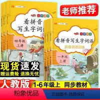 看拼音写生字词语 一年级上 [正版]看拼音写词语一年级下册三四五六二年级上册人教版看拼音写生字词语练习拼音拼读训练小学语