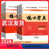 24核心考点[九上+中考]送纸质答案 初中通用 [正版]2024新版名校学典核心考点七八九年级下册上册数学人教版初123