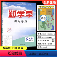 2024课时导练 八上英语 八年级/初中二年级 [正版]2023新版勤学早大培优8八年级下册数学人教版学生用书 大培优八