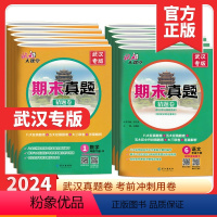 语文+数学 期末真题[武汉专版] 一年级下 [正版]武汉专版2024春状元大课堂期末真题卷猜题卷语文数学人教下册小学一二