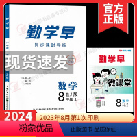 2024 同步课时导练 八上数学 初中通用 [正版]2024勤学早同步课时导练八年级上册数学人教版 勤学早课时导练八上数