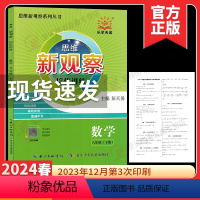 培优讲练 八下数学 初中通用 [正版]2024新观察 思维新观察八年级下册数学英语物理人教版初二学生用书长江少年思维新观