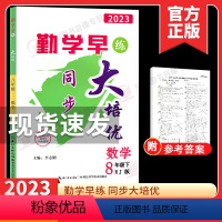 2023大培优 八下数学 初中通用 [正版]2023新版勤学早大培优8八年级上册物理人教版学生用书 大培优八上数学初二上