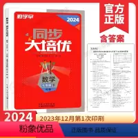 2024大培优 七下 数学 七年级/初中一年级 [正版]2024新版勤学早大培优七年级数学下册人教版RJ 勤学早大培优
