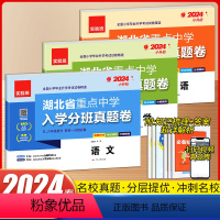 3本[语数英]实验班 湖北小升初 小学升初中 [正版]2024版实验班湖北省重点中学入学分班真题卷语文数学英语小升初真题