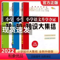 语数英知识大集结(3本装) 小学通用 [正版]小升初语文知识大集结小学数学英语大盘点五下53小升初总复习基础知识大全