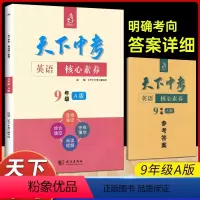 天下中考 九年级A版 初中通用 [正版]天下中考英语核心素养提升九年级A版武汉出版社初中初三9年级英语专项训练完形填空阅