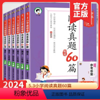 [基础练3本套]句式训练+积累与默写+阅读真题60篇 一年级下 [正版]2024新53阅读真题60篇一年级二年级四五六三