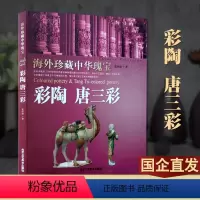 [正版] 海外珍藏中华瑰宝 彩陶 唐三彩 张怀林 艺术 收藏/鉴赏 陶瓷 中国雕塑 收藏鉴赏 艺术 陶瓷书籍 北京