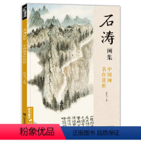 [正版]经典全集 石涛画集 8开中国画临摹画册书籍技法花卉竹山水书画临本写意花鸟名作赏析鉴赏 杨建飞主编