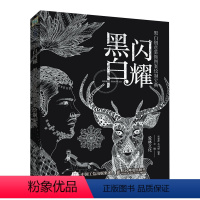 [正版] 黑白闪耀——黑白创意装饰图案绘制宝典 黑白装饰画教程书 创意设计装饰插画临摹书籍