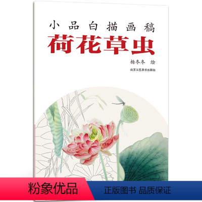 [正版] 荷花草虫 小品白描画稿 杨冬冬 绘 艺术绘画 绘画技法 工笔画家新创作的白描画稿 北京工艺美术出版社 书
