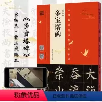 [正版] 颜真卿 多宝塔碑 (宋拓本·翁志飞临本)书法爱好者练习类书籍