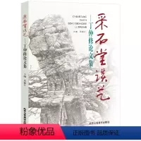 [正版]采石堂谈艺丁仲修论文集 花鸟画 山水画 国画绘画系列书籍