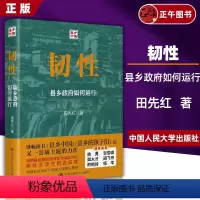 [正版]韧性 县乡政府如何运行 田先红 中国人民大学出版社 新书 中县干部 基层治理 中国政治 教育 乡村振兴书籍 县