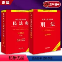 [正版]新版2024适用 2本套 刑法注释本 +民法典注释本 第三版 根据刑法修正案十二新修订 问题解答 实用工具文本