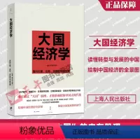 [正版]大国经济学:面向长期、全局、多维的中国发展 陆铭 杨汝岱等著 系统解读中国经济的通识之作 经济长期发展转型 置