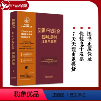 [正版]2023新书知识产权纠纷裁判规则理解与适用 法制 知识产权权属 侵权纠纷 不正当竞争纠纷 行政纠纷 司法实务参