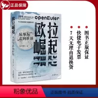 [正版]2023新书 欧拉崛起从华为走向世界 揭示华为抗住美国制裁再次崛起的秘密方兴东著一部不为人知华为奋斗史真实华为