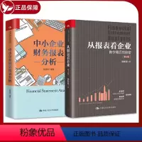 [正版]2本套 从报表看企业 数字背后的秘密+中小企业财务报表分析 张新民作品套装2册 张新民 著 学会看报表 经济