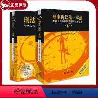 [正版]全套2册 2023新版刑法一本通第十六版+刑事诉讼法一本通第十七版刑法刑诉法一本通中华人民共和国刑事诉讼法