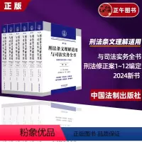 [正版]2024新书 刑法条文理解适用与司法实务全书(六卷本)(第二版)刑法修正案1~12编定 张述元著 编 中国法制