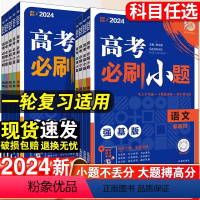 [新高考版] 语文 高考必刷小题 [正版]2024版 高考必刷小题强基版数学语文英语物理化学生物历史地理政治高考必刷小题