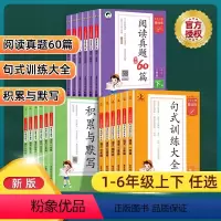 句式训练+积累与默写+阅读真题60篇[2024春 下册] 小学一年级 [正版]2024新53小学基础练语文积累与默写阅读