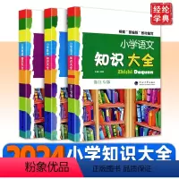 小学语文知识大全[全国版] 小学通用 [正版]浙江2024小学知识大全语文数学英语第三次修订版小学总复习资料456年级上