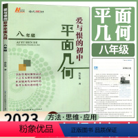 数学 八年级/初中二年级 [正版]新版爱与恨的初中平面几何八年级 同步训练题常规问题证法基本图形储备辅助线添加提升分析问