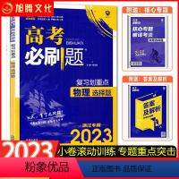 物理(选择题) 2023浙江专用 [正版]新品浙江2023高考必刷题 (复习划重点 物理选择题) 分题型强化选考标准卷模