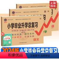 [3本]语文+数学+英语(人教) 小学升初中 [正版]2024小学毕业升学总复习语文数学人教版英语外研版小升初分班真题卷