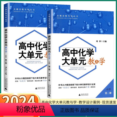 高中化学大单元(必修二) 高中一年级 [正版]2024新版 高中化学大单元教与学必修第一册第二册高中生高一上下册同步广西
