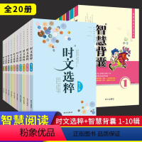 [全套]智慧背囊+时文选粹 20本 初中通用 [正版]时文选粹智慧背囊初中版 满分作文素材高中版时文精粹 初中生适用语文