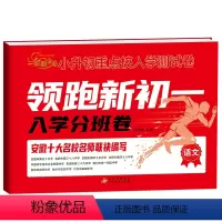 入学分班卷.语文[安徽专版] 小学升初中 [正版]金题金卷小升初重点校入学测试卷领跑新初一入学分班卷语文数学英语安徽专版