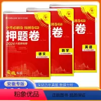 押题卷《语文+数学+英语》3册 九年级/初中三年级 [正版]理想树2024版安徽中考必刷卷预测卷系列押题卷六套原创卷中考