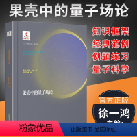 果壳中的量子场论 [正版]量子信息简话 给所有人的新科技革命读本 袁岚峰 量子科学出版工程第二辑 中科大出版社 量子力学