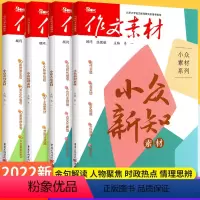 [套装]小众素材4册 全国通用 [正版]2023作文素材小众素材大家金句情理新知素材4本全套 题型新颖时事热点作文大全作