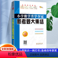 数学升学夺冠新考题大集合 小学升初中 [正版]2024版小学语文数学英语小学毕业升学夺冠知识大集结小升初知识考点大全专项