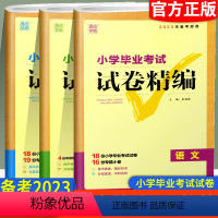 小学毕业考试试卷精编 [语数英3本] 小学升初中 [正版]备考2023版通城学典小学毕业考试试卷精编小升初系统总复习语文