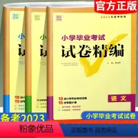 小学毕业考试试卷精编 [语数英3本] 小学升初中 [正版]备考2023版通城学典小学毕业考试试卷精编小升初系统总复习语文