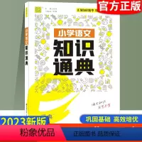 小学语文知识通典 小学升初中 [正版]2023新版 通城学典小学语文知识通典通用版 古诗文词汇学典小学生一二三四五六年级