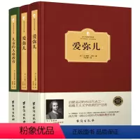 [正版]共3册 爱弥儿 儿童的人格教育 卢梭精装上下 爱弥尔西方百年学术经典 卢梭论述资产教育著作世界文学名著儿童教育