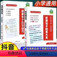 (全套2册)优美句子积累大全+仿写技巧 小学通用 [正版]2024新版小学语文优美句子积累大全仿写技巧修辞手法专项训练打